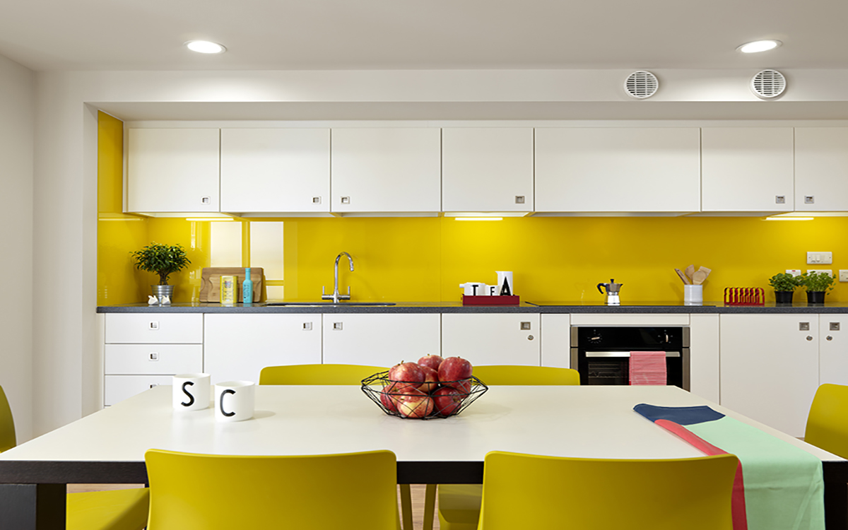 Shared Kitchen & Living Room